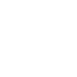 luxeicoon